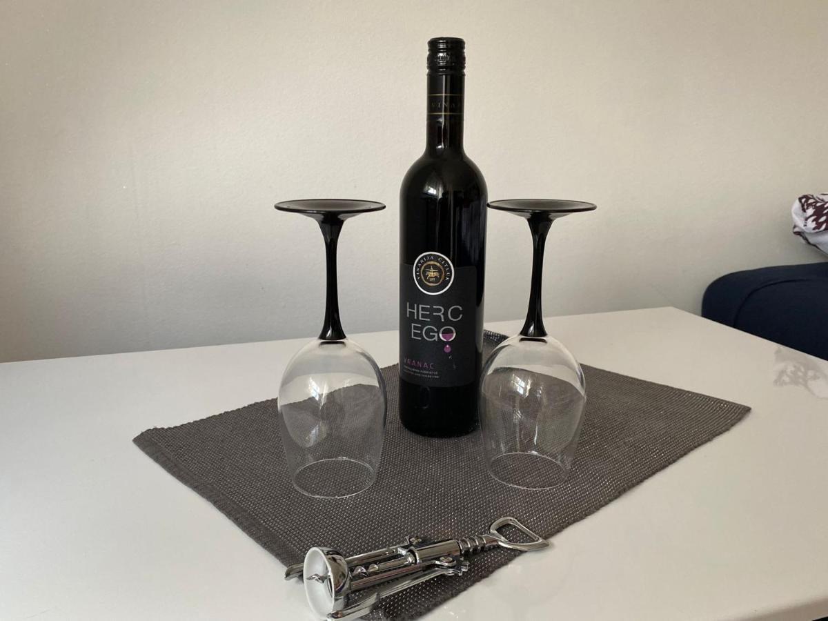 Studio Apartman Bf Slavonski Brod Zewnętrze zdjęcie